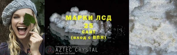 гидра Верхний Тагил