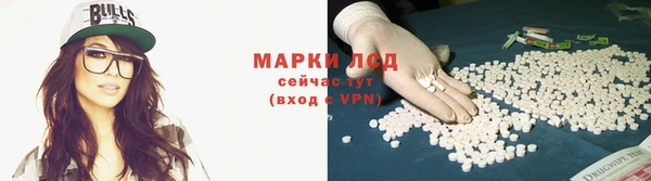 гидра Верхний Тагил