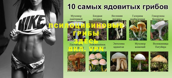 тгк Тихвин