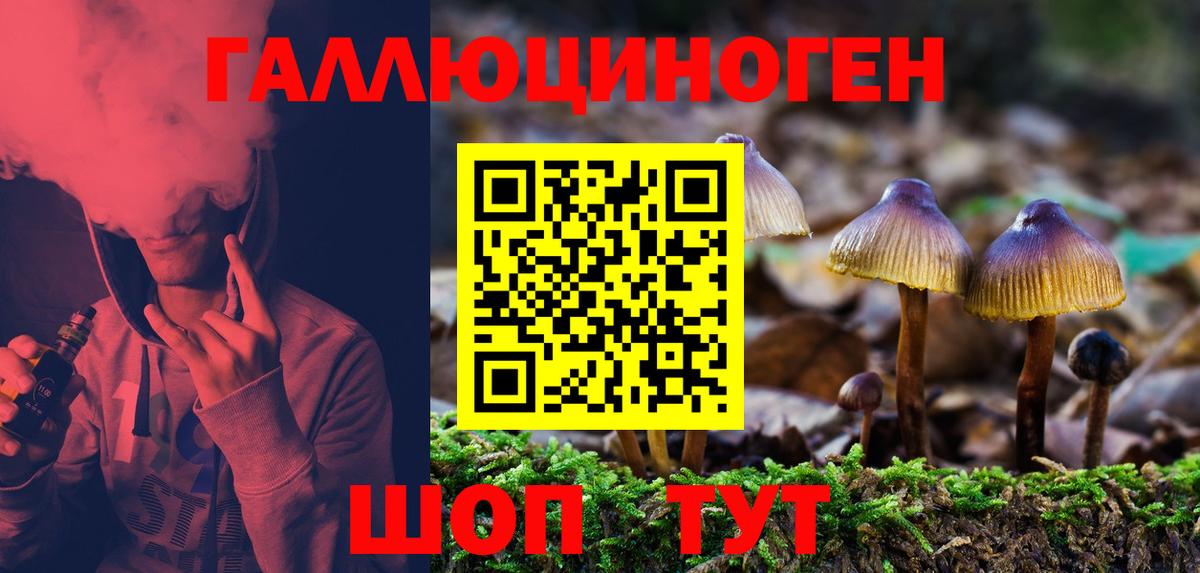 Медногорск  Галлюциногенные грибы Psilocybe  Вход с VPN 